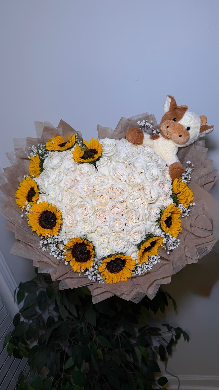 50 Rosas, forma de corazón con girasoles y peluche